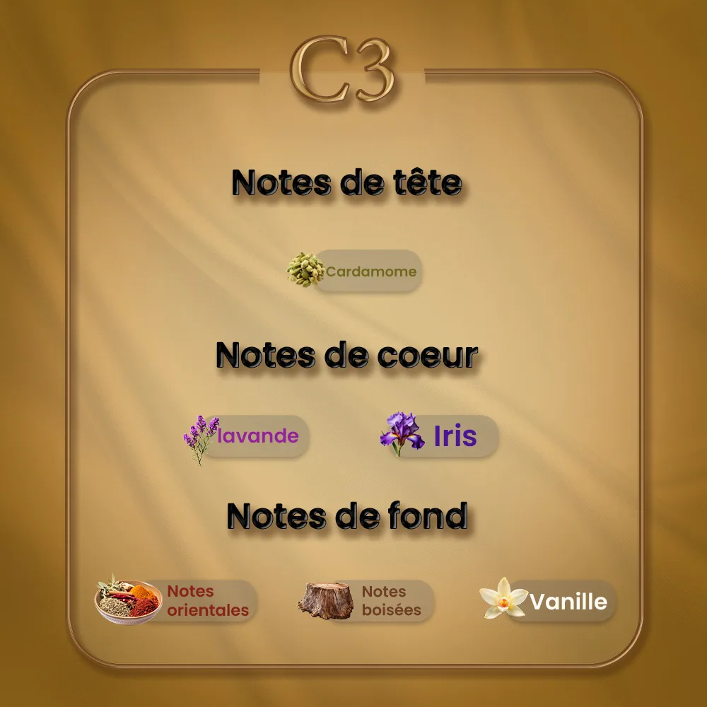 C03 - Le Male – Image 2