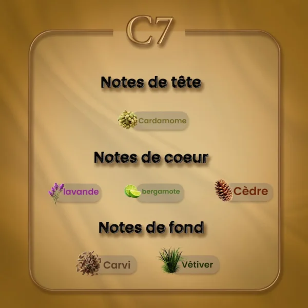 C07 - La Nuit de l'Homme – Image 2