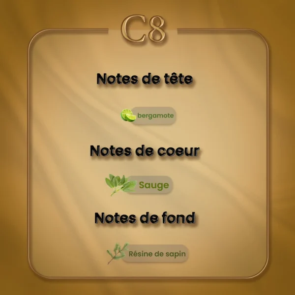 C08 - Chrome – Image 2