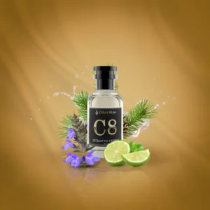 C08 - Chrome