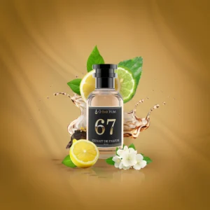 N67 - Megamare