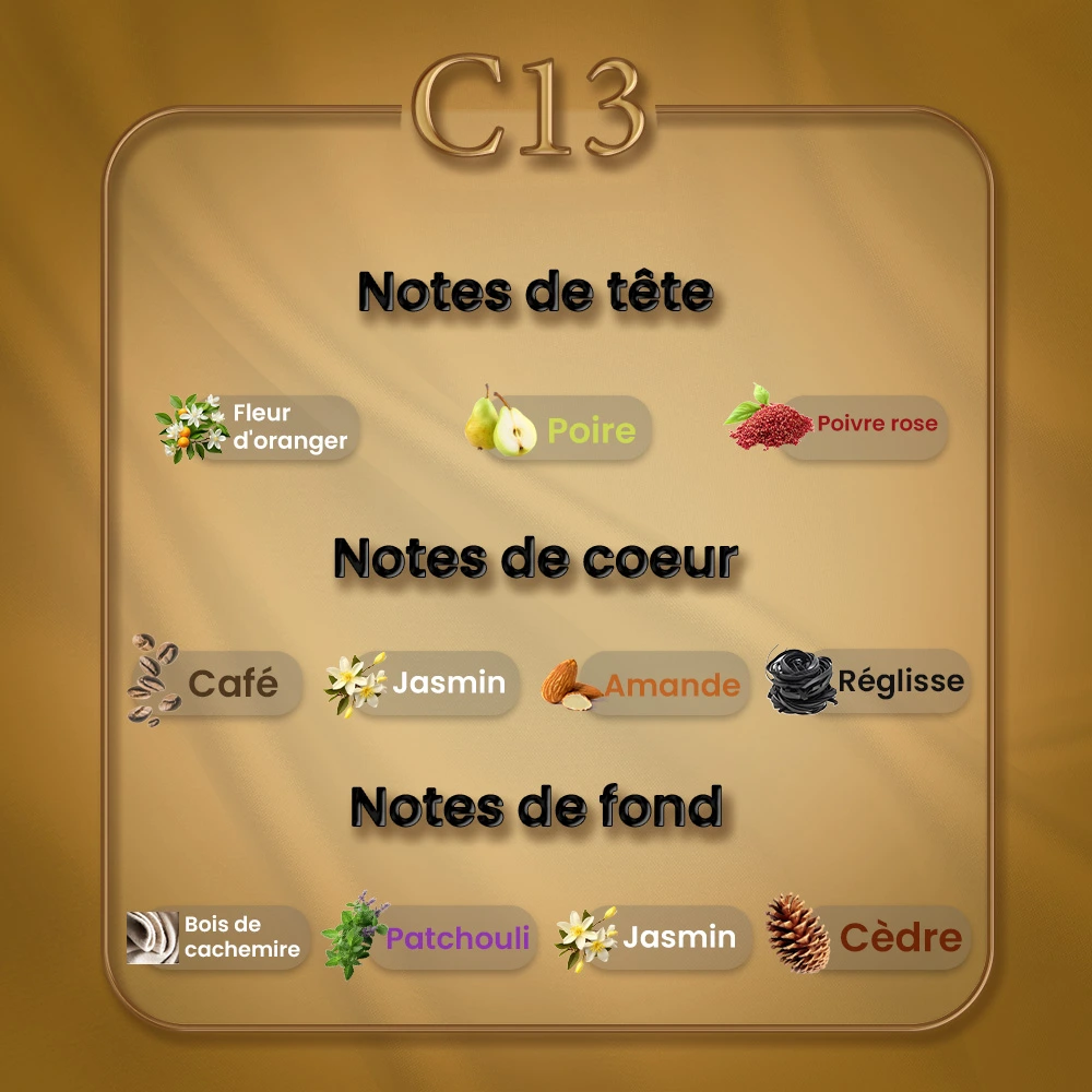 C13 - Black Opium – Image 2