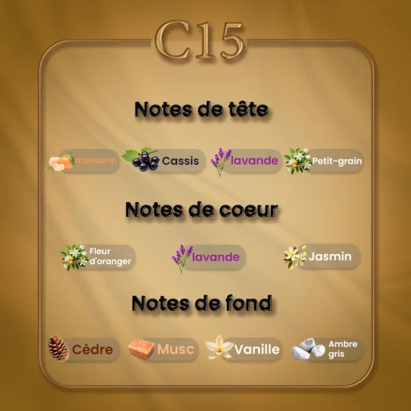 C15 - Libre – Image 2