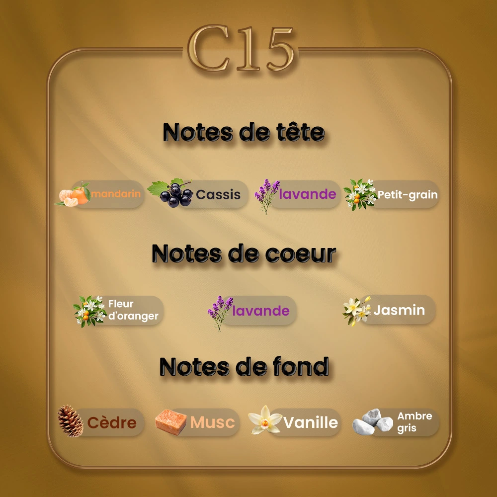 C15 - Libre – Image 2