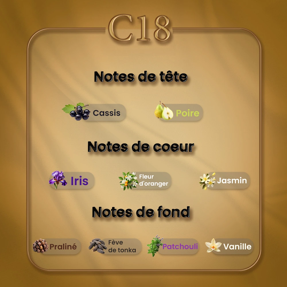 C18 - La Vie Est Belle – Image 2
