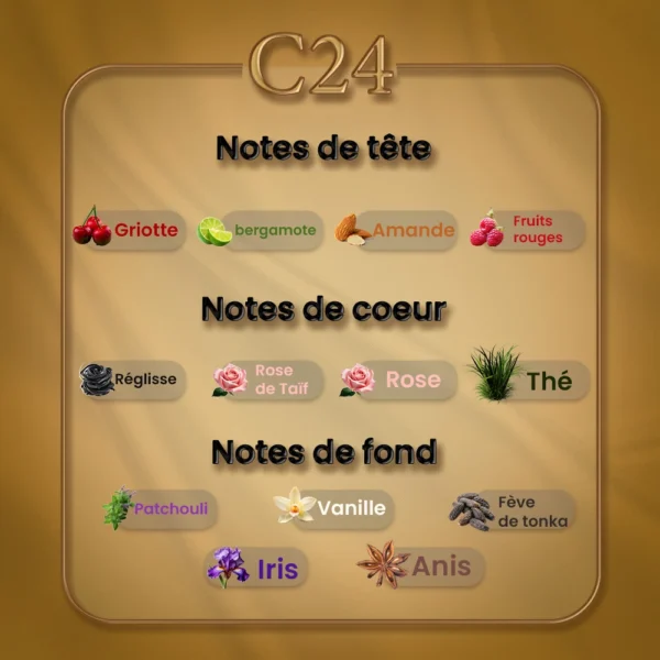 C24 - La Petite Robe Noire – Image 2