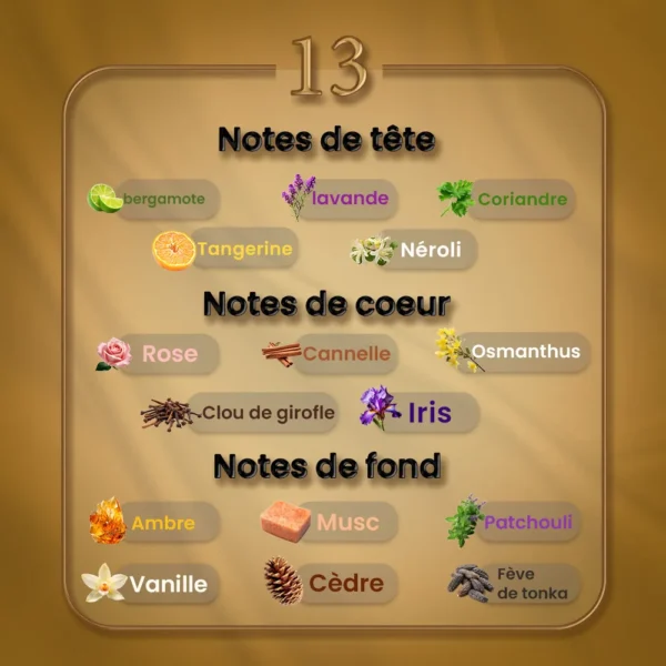 N13 - Musc Ravageur – Image 2