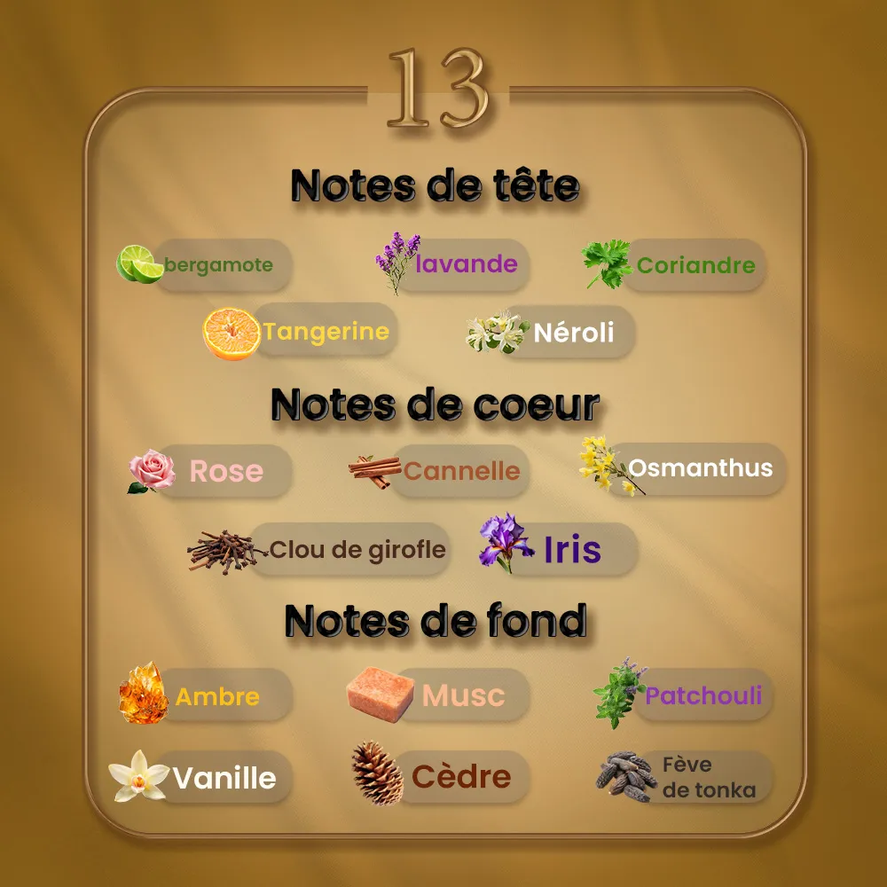 N13 - Musc Ravageur – Image 2