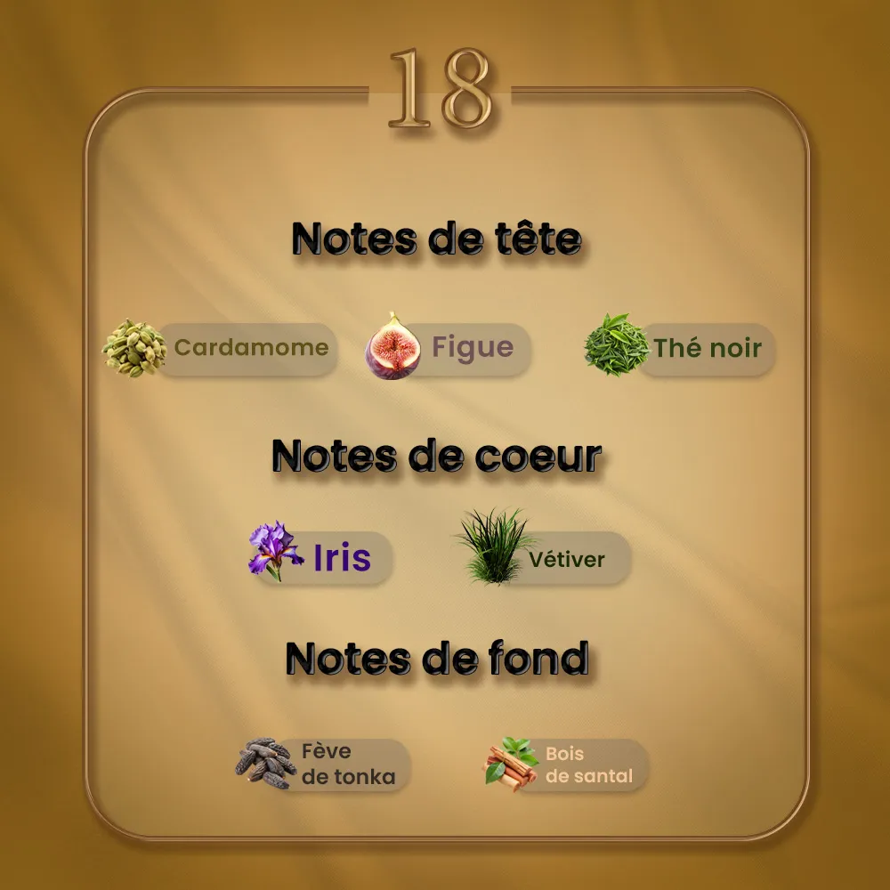 N18 - Gris Charnel – Image 2