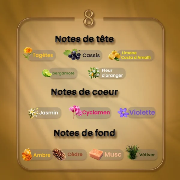N08 - Bal d'Afrique – Image 2