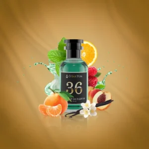 N36 - Création