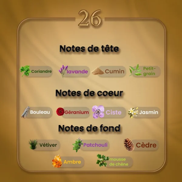 N26 - L'Air du Desert Marocain – Image 2