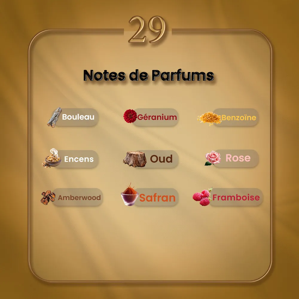 N29 - Ombre Nomade – Image 2