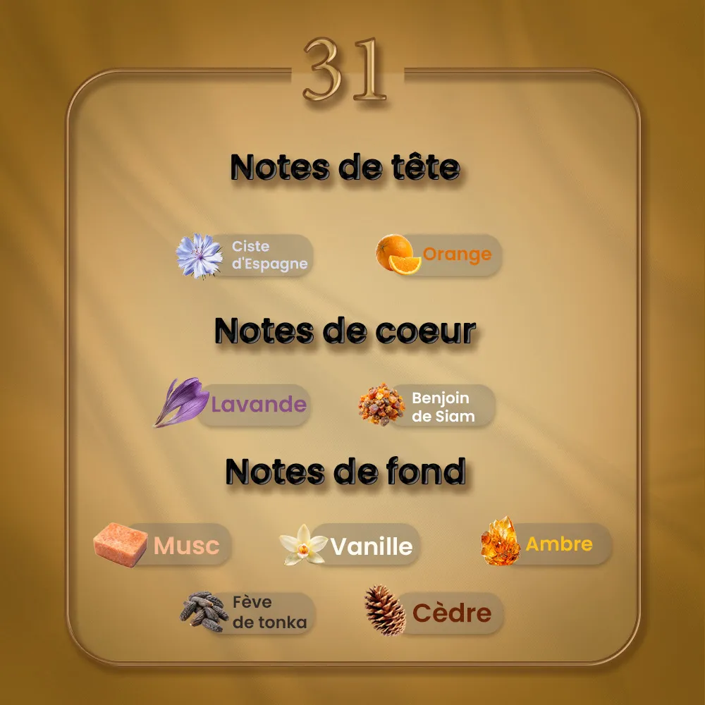 N31 - Grand Soir – Image 2
