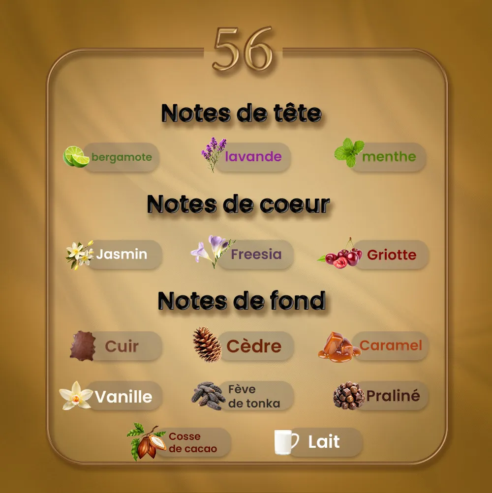 N56 - Fève Délicieuse – Image 2