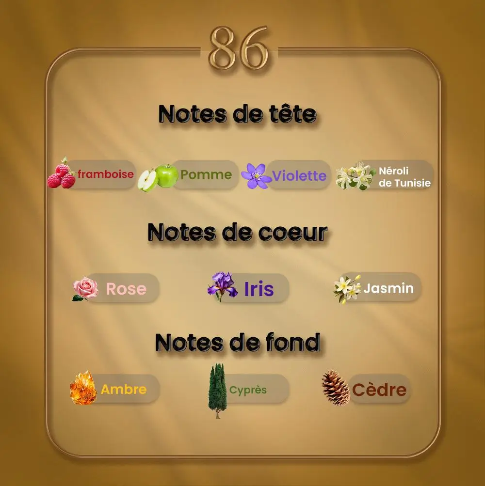 N86 - Flamenco – Image 2